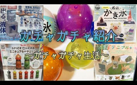 【ガチャガチャ】ガチャガチャ回してみた！かき氷/お家アニマル/ウォーターサーバー/スパイス