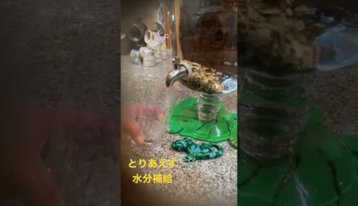 ウォーターサーバーとりあえず水飲んで落ち着こう‼️