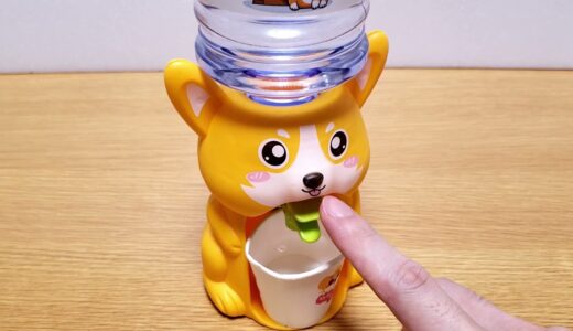 Corgi Water Dispenser コーギーのウォーターサーバー