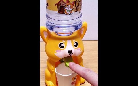 corgi water dispenser コーギーのウォーターサーバー #shorts