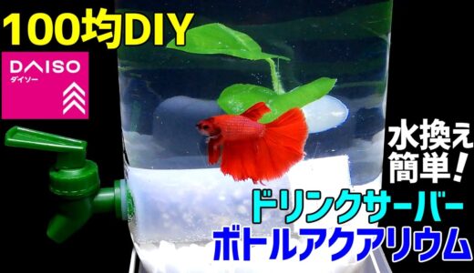 水換えが楽な【ドリンクサーバーボトルアクアリウム】の作り方/ベタ飼育/ダイソーウォーターサーバー/100均DIY