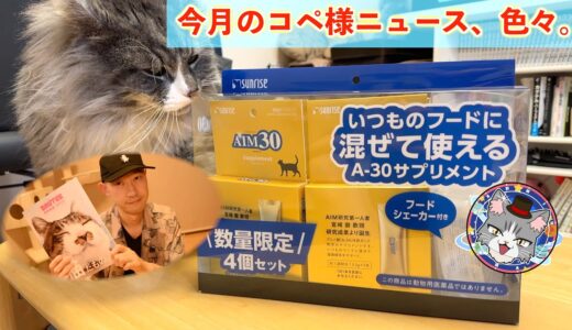 右腕に包帯巻いて、猫だらけウォーターサーバーとかAIM30サプリとか紹介します♪