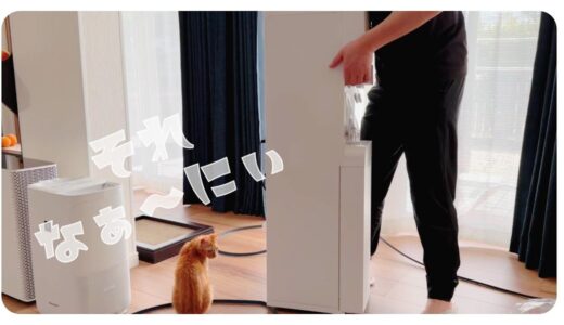 猫たちがわくわくするのはウォーターサーバーじゃない【プレミアムウォーター】