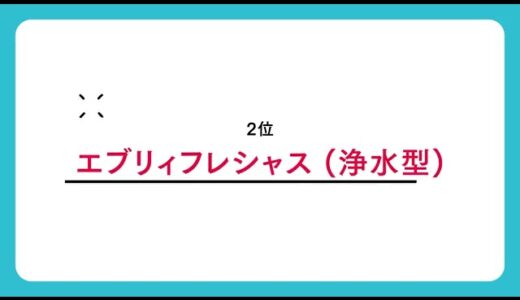 ウォーターサーバー ランキング