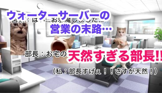 ウォーターサーバーの営業の末路…〜天然すぎる部長〜 #猫ミーム #猫マニ #ウォーターサーバー