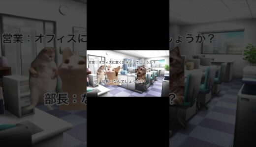 ウォーターサーバーの営業の末路　#猫ミーム #猫マニ #オフィス #ウォーターサーバー #日常vlog #営業