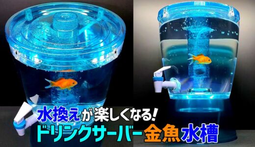 【水換え簡単！楽しい】ドリンクサーバーで金魚飼育/メダカ・金魚・ベタの飼育に使える小型水槽